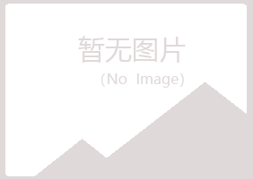 北安紫山建设有限公司